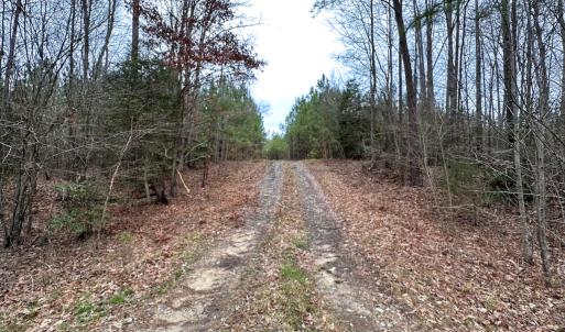 Photo #36 of SOLD property in Off Hilltop Lane, Skippers, VA 70.3 acres