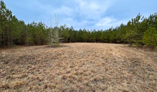 Photo #37 of SOLD property in Off Hilltop Lane, Skippers, VA 70.3 acres