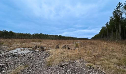 Photo #38 of SOLD property in Off Hilltop Lane, Skippers, VA 70.3 acres
