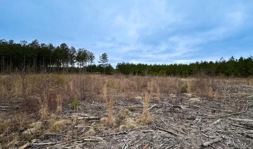 Photo #39 of SOLD property in Off Hilltop Lane, Skippers, VA 70.3 acres