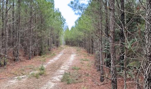 Photo #40 of SOLD property in Off Hilltop Lane, Skippers, VA 70.3 acres