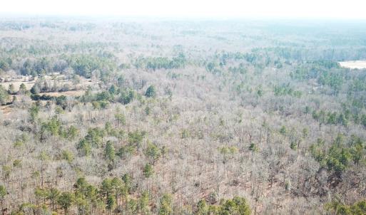 Photo #3 of SOLD property in 16024, 16118, & 16116 Exter Mill Rd, Chesterfield, VA 18.4 acres