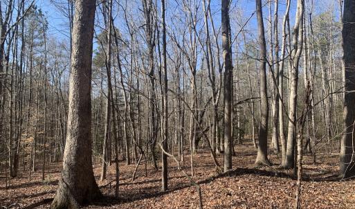 Photo #8 of SOLD property in 16024, 16118, & 16116 Exter Mill Rd, Chesterfield, VA 18.4 acres
