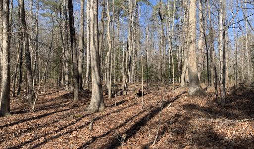 Photo #9 of SOLD property in 16024, 16118, & 16116 Exter Mill Rd, Chesterfield, VA 18.4 acres