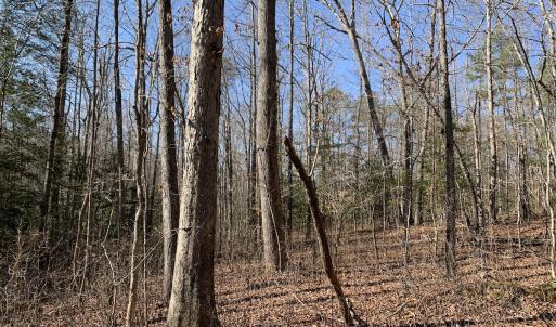 Photo #10 of SOLD property in 16024, 16118, & 16116 Exter Mill Rd, Chesterfield, VA 18.4 acres