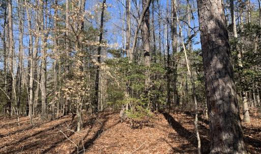 Photo #11 of SOLD property in 16024, 16118, & 16116 Exter Mill Rd, Chesterfield, VA 18.4 acres