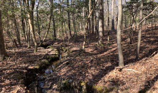Photo #13 of SOLD property in 16024, 16118, & 16116 Exter Mill Rd, Chesterfield, VA 18.4 acres