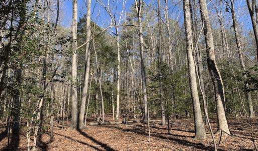 Photo #14 of SOLD property in 16024, 16118, & 16116 Exter Mill Rd, Chesterfield, VA 18.4 acres