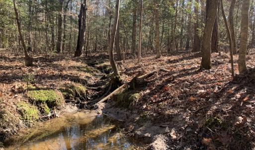 Photo #15 of SOLD property in 16024, 16118, & 16116 Exter Mill Rd, Chesterfield, VA 18.4 acres