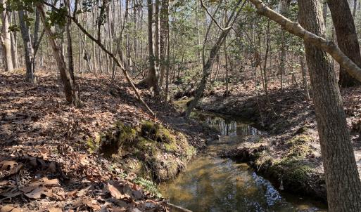 Photo #18 of SOLD property in 16024, 16118, & 16116 Exter Mill Rd, Chesterfield, VA 18.4 acres