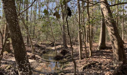 Photo #19 of SOLD property in 16024, 16118, & 16116 Exter Mill Rd, Chesterfield, VA 18.4 acres