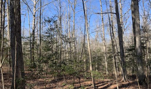 Photo #22 of SOLD property in 16024, 16118, & 16116 Exter Mill Rd, Chesterfield, VA 18.4 acres