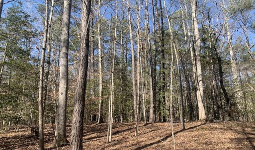 Photo #23 of SOLD property in 16024, 16118, & 16116 Exter Mill Rd, Chesterfield, VA 18.4 acres