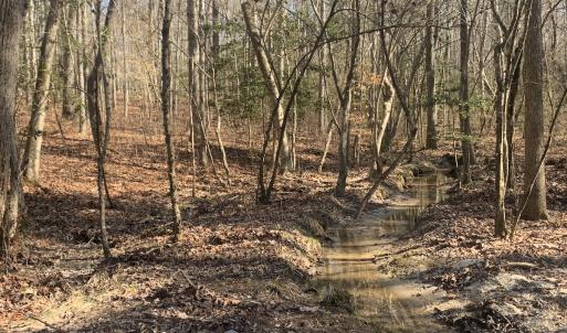 Photo #24 of SOLD property in 16024, 16118, & 16116 Exter Mill Rd, Chesterfield, VA 18.4 acres