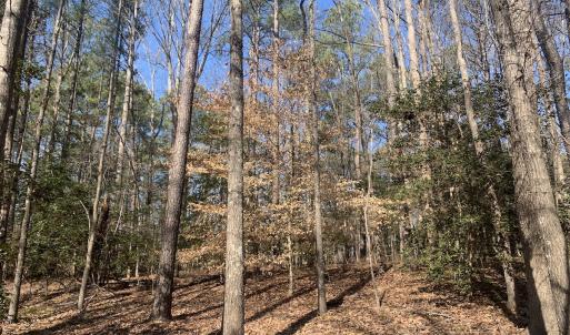 Photo #25 of SOLD property in 16024, 16118, & 16116 Exter Mill Rd, Chesterfield, VA 18.4 acres