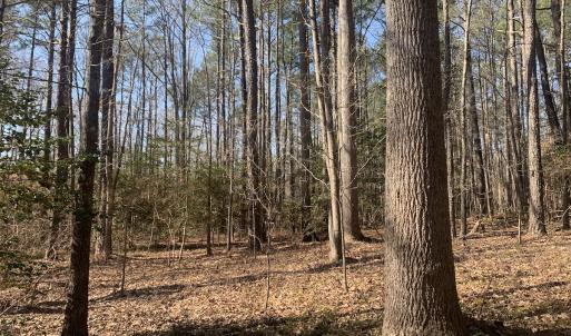Photo #26 of SOLD property in 16024, 16118, & 16116 Exter Mill Rd, Chesterfield, VA 18.4 acres