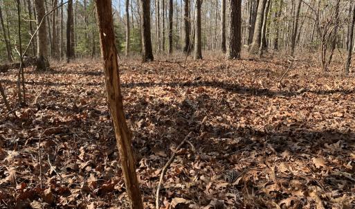 Photo #27 of SOLD property in 16024, 16118, & 16116 Exter Mill Rd, Chesterfield, VA 18.4 acres