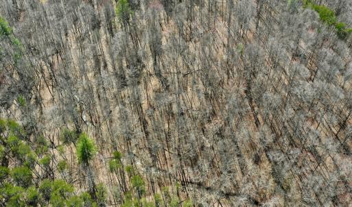 Photo #8 of Off Kemp Ford Rd, Union Hall, VA 7.1 acres