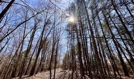Photo #13 of Off Kemp Ford Rd, Union Hall, VA 7.1 acres