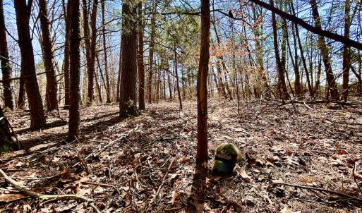 Photo #14 of Off Kemp Ford Rd, Union Hall, VA 7.1 acres