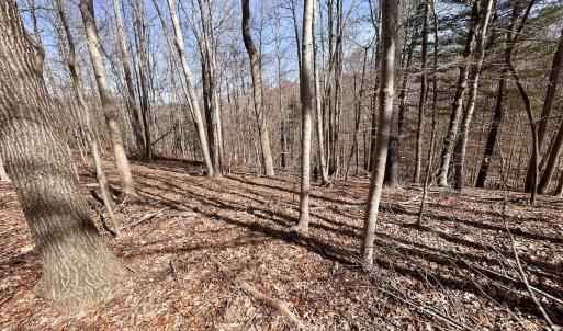 Photo #16 of Off Kemp Ford Rd, Union Hall, VA 7.1 acres