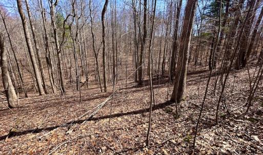Photo #17 of Off Kemp Ford Rd, Union Hall, VA 7.1 acres