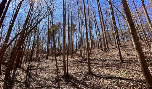 Photo #18 of Off Kemp Ford Rd, Union Hall, VA 7.1 acres