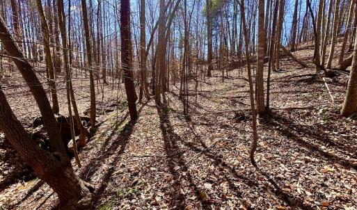 Photo #19 of Off Kemp Ford Rd, Union Hall, VA 7.1 acres