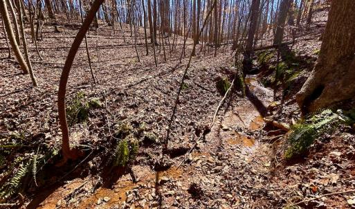 Photo #20 of Off Kemp Ford Rd, Union Hall, VA 7.1 acres