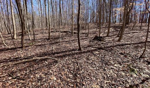 Photo #21 of Off Kemp Ford Rd, Union Hall, VA 7.1 acres
