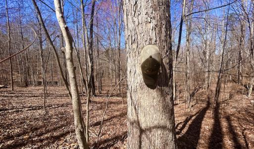 Photo #22 of Off Kemp Ford Rd, Union Hall, VA 7.1 acres