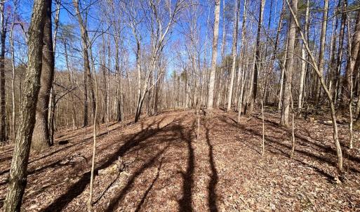 Photo #23 of Off Kemp Ford Rd, Union Hall, VA 7.1 acres