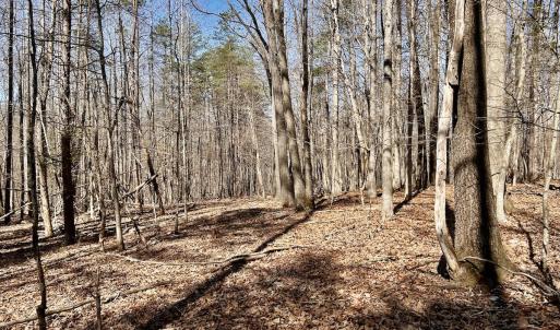 Photo #24 of Off Kemp Ford Rd, Union Hall, VA 7.1 acres