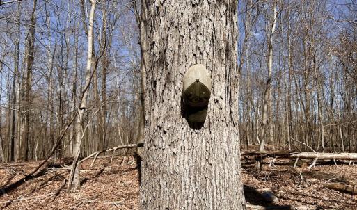 Photo #25 of Off Kemp Ford Rd, Union Hall, VA 7.1 acres