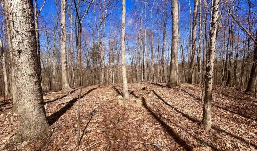Photo #26 of Off Kemp Ford Rd, Union Hall, VA 7.1 acres