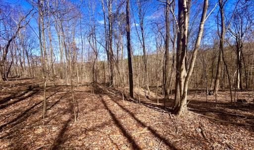 Photo #28 of Off Kemp Ford Rd, Union Hall, VA 7.1 acres
