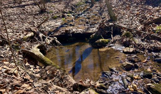 Photo #29 of Off Kemp Ford Rd, Union Hall, VA 7.1 acres