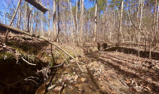 Photo #30 of Off Kemp Ford Rd, Union Hall, VA 7.1 acres