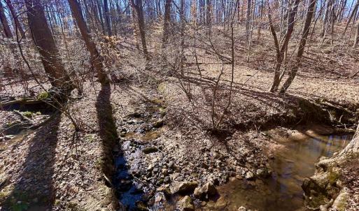 Photo #31 of Off Kemp Ford Rd, Union Hall, VA 7.1 acres