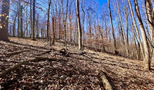 Photo #32 of Off Kemp Ford Rd, Union Hall, VA 7.1 acres