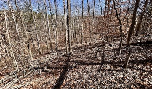 Photo #33 of Off Kemp Ford Rd, Union Hall, VA 7.1 acres