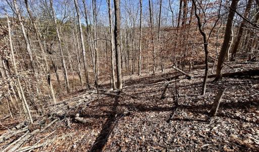 Photo #33 of Off Kemp Ford Rd, Union Hall, VA 7.1 acres