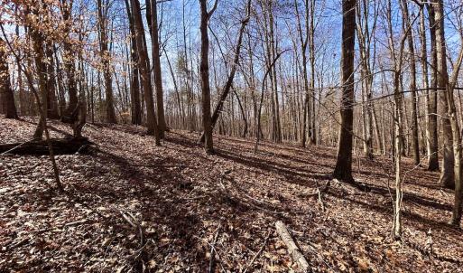 Photo #35 of Off Kemp Ford Rd, Union Hall, VA 7.1 acres