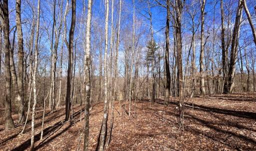 Photo #36 of Off Kemp Ford Rd, Union Hall, VA 7.1 acres