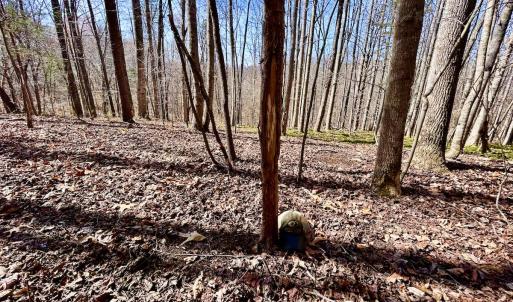 Photo #37 of Off Kemp Ford Rd, Union Hall, VA 7.1 acres