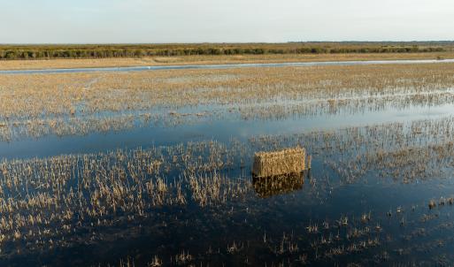 Photo #2 of SOLD property in Off North Lake Rd, Fairfield, NC 11,600.0 acres