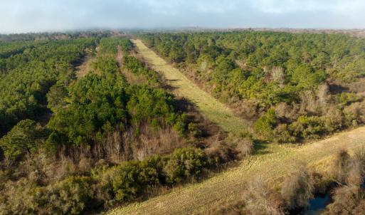 Photo #11 of SOLD property in Off North Lake Rd, Fairfield, NC 11,600.0 acres