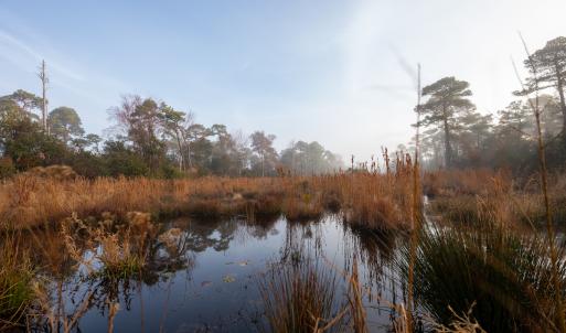 Photo #12 of SOLD property in Off North Lake Rd, Fairfield, NC 11,600.0 acres