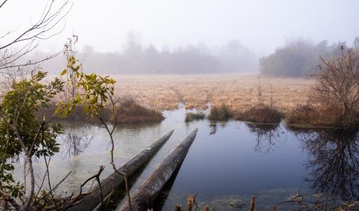 Photo #18 of SOLD property in Off North Lake Rd, Fairfield, NC 11,600.0 acres
