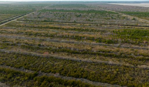 Photo #5 of SOLD property in Off North Lake Rd, Fairfield, NC 11,600.0 acres